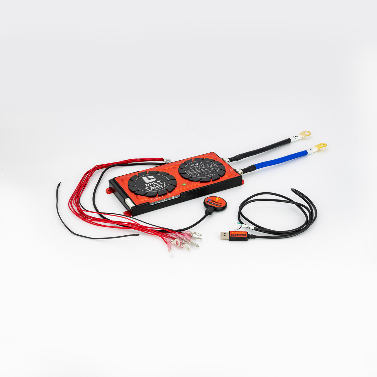 LiFePO4 Akku 24V 100Ah mit BMS (Batterie Management System