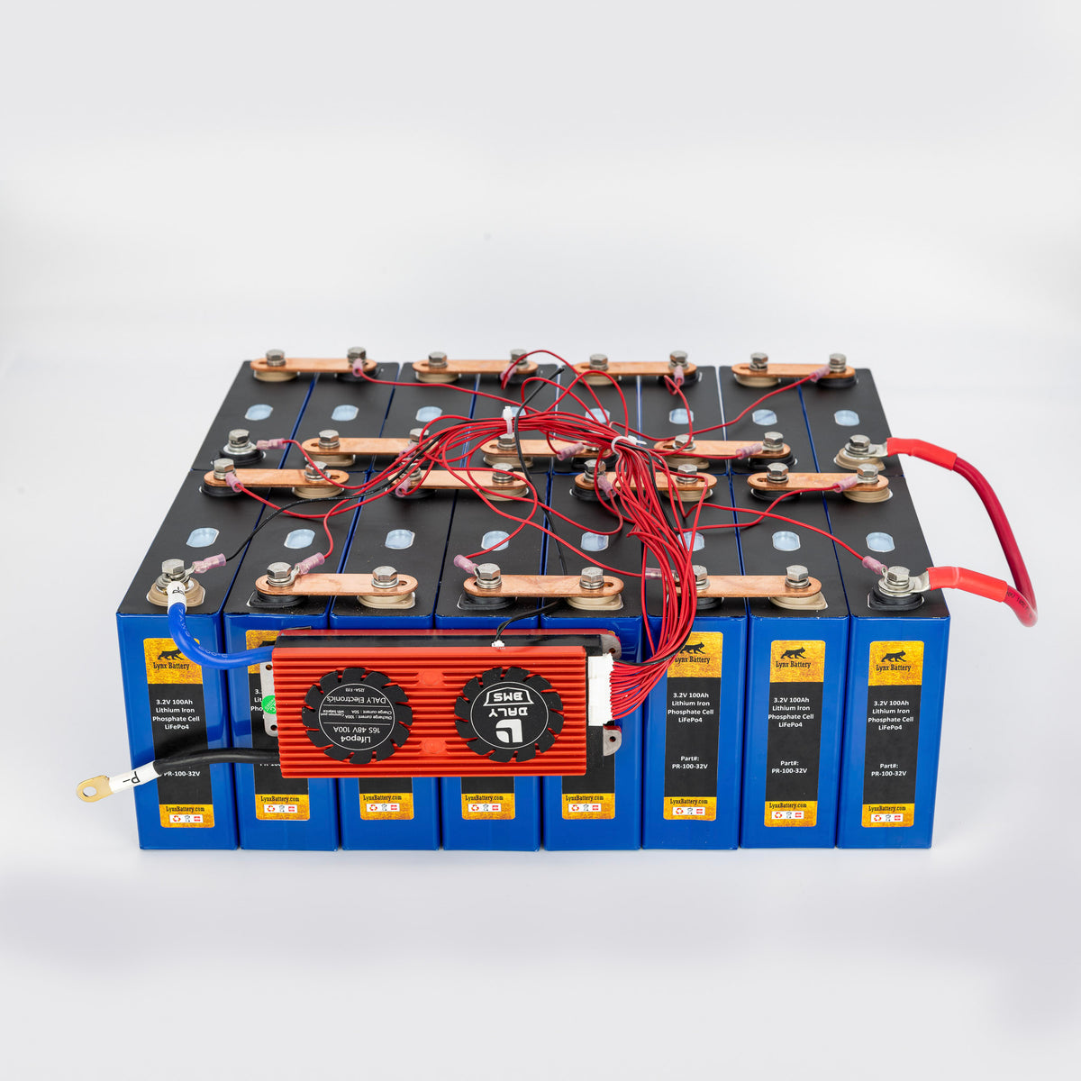 48V 100Ah Lithium Iron Phosphate (LiFePO4) Battery with 100A BMS